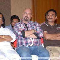 Srimannarayana Movie Success Meet Pictures | Picture 266229