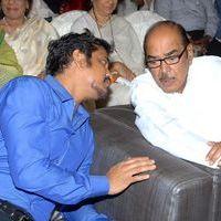 ANR Awards Function 2012 Pictures | Picture 379149