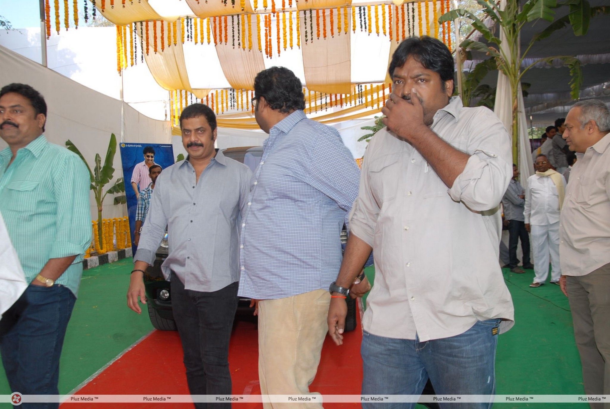 Jr.NTR New Film Opening Photos | Picture 382572