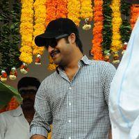 Jr. NTR - Jr.NTR New Film Opening Photos | Picture 382599