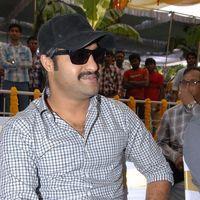 Jr. NTR - Jr.NTR New Film Opening Photos | Picture 382377