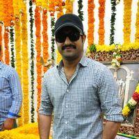 Jr. NTR - Jr.NTR New Film Opening Photos | Picture 382608