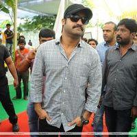 Jr.NTR New Film Opening Photos | Picture 382609