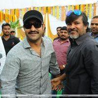 Jr.NTR New Film Opening Photos | Picture 382610