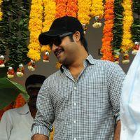Jr. NTR - Jr.NTR New Film Opening Photos | Picture 382614