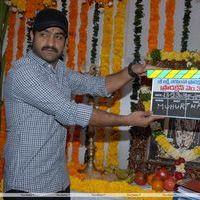 Jr. NTR - Jr.NTR New Film Opening Photos | Picture 382537