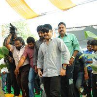 Jr.NTR New Film Opening Photos | Picture 382615