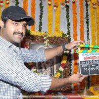 Jr. NTR - Jr.NTR New Film Opening Photos | Picture 382539