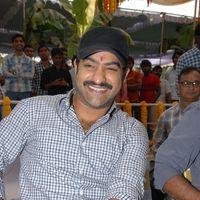 Jr. NTR - Jr.NTR New Film Opening Photos | Picture 382384