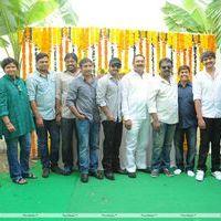 Jr.NTR New Film Opening Photos | Picture 382616