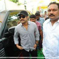 Jr.NTR New Film Opening Photos | Picture 382621