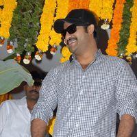 Jr. NTR - Jr.NTR New Film Opening Photos | Picture 382401
