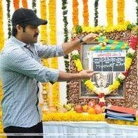 Jr. NTR - Jr.NTR New Film Opening Photos | Picture 382626