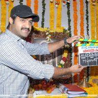 Jr. NTR - Jr.NTR New Film Opening Photos | Picture 382549