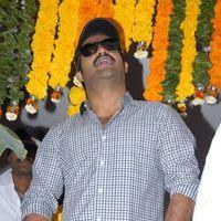 Jr. NTR - Jr.NTR New Film Opening Photos | Picture 382405