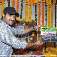 Jr. NTR - Jr.NTR New Film Opening Photos | Picture 382551