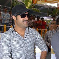 Jr. NTR - Jr.NTR New Film Opening Photos | Picture 382406
