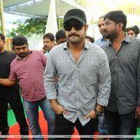 Jr. NTR - Jr.NTR New Film Opening Photos | Picture 382629