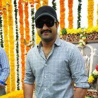 Jr. NTR - Jr.NTR New Film Opening Photos | Picture 382635