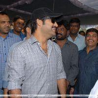 Jr.NTR New Film Opening Photos | Picture 382563