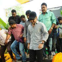 Jr.NTR New Film Opening Photos | Picture 382640