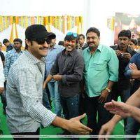 Jr.NTR New Film Opening Photos | Picture 382644