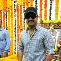 Jr. NTR - Jr.NTR New Film Opening Photos | Picture 382645