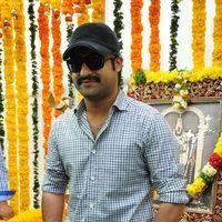 Jr. NTR - Jr.NTR New Film Opening Photos | Picture 382647