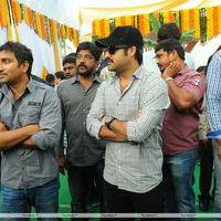 Jr.NTR New Film Opening Photos | Picture 382649