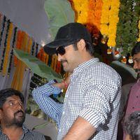 Jr. NTR - Jr.NTR New Film Opening Photos | Picture 382420