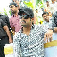 Jr. NTR - Jr.NTR New Film Opening Photos | Picture 382655