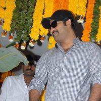 Jr. NTR - Jr.NTR New Film Opening Photos | Picture 382423