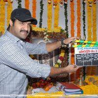 Jr. NTR - Jr.NTR New Film Opening Photos | Picture 382587