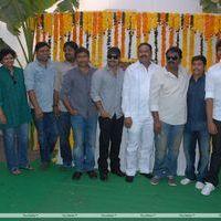 Jr.NTR New Film Opening Photos | Picture 382597