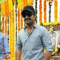 Jr. NTR - Jr.NTR New Film Opening Photos | Picture 382666