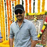 Jr. NTR - Jr.NTR New Film Opening Photos | Picture 382667