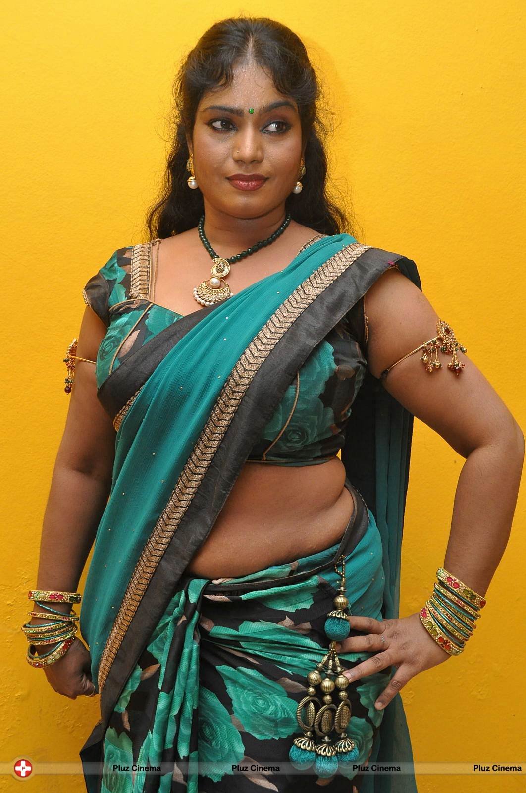 Picture 569284 | Jayavani Hot at Minugurulu Audio Function Photos