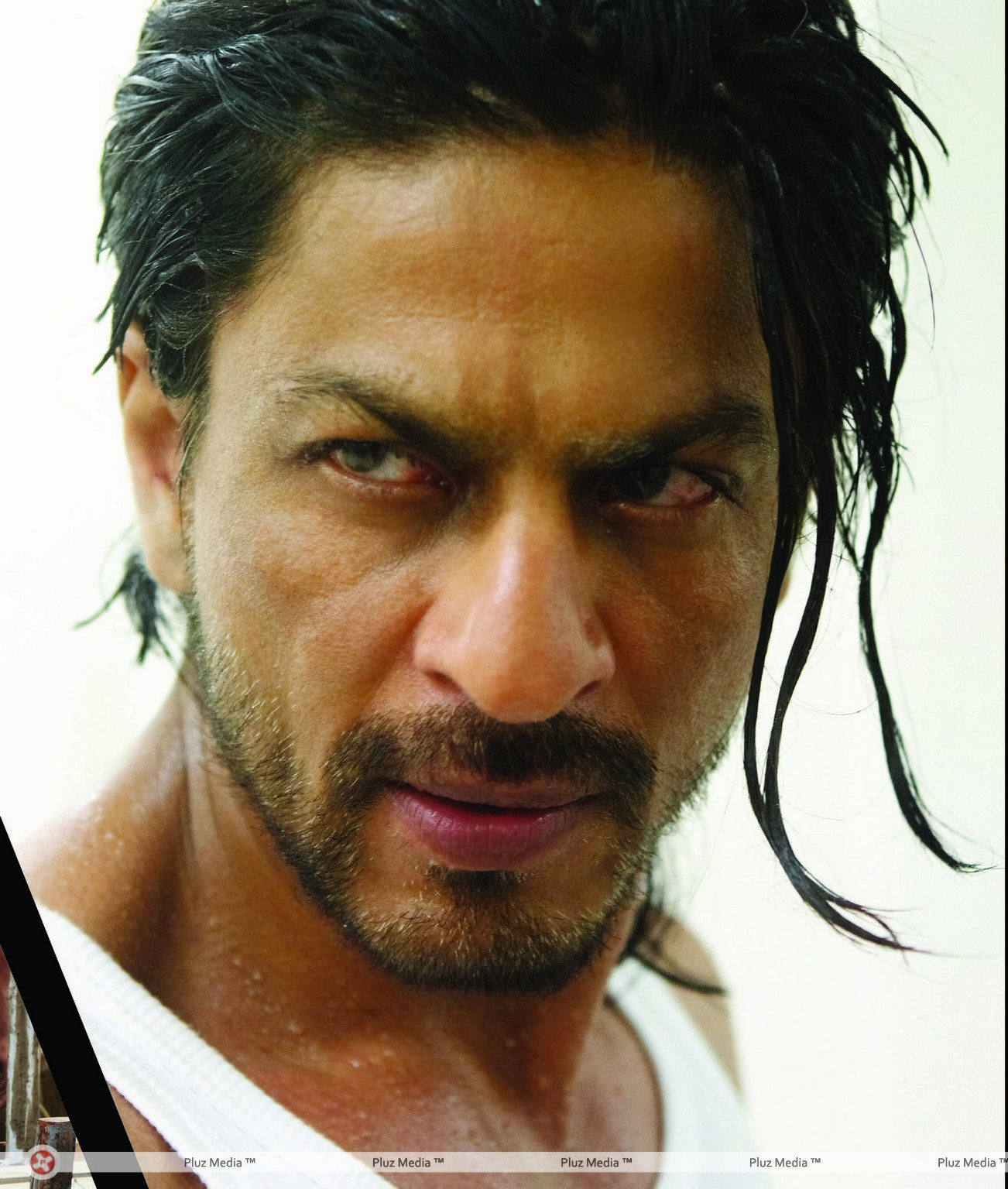 Shah Rukh Khans rugged look from the movie Don 2