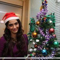 Sonam Kapoor Ahuja - Christmas Theme posing by Sonam Kapoor & Veena Malik - Pictures | Picture 144201