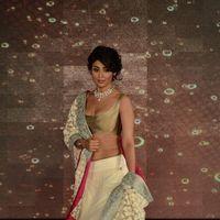 Celebs catwalk in Manish Malhotra show for Lilavati Hospital - Photos | Picture 187287