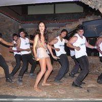 Nathalia Kaur's sizzling item song launch - Photos | Picture 187760