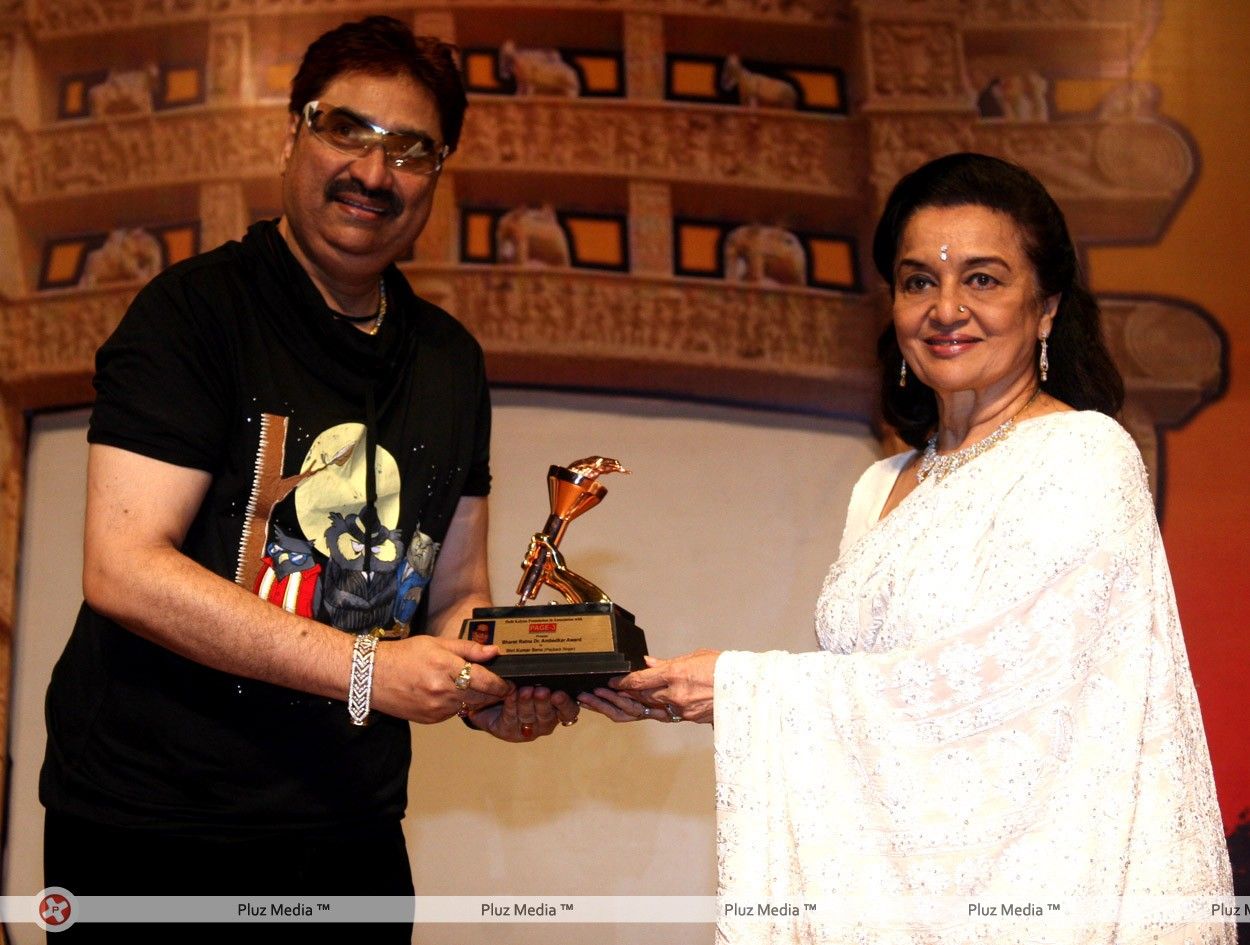 Dr Ambedkar Awards 2012 | Picture 188072