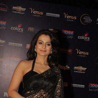 Amisha Patel - Photos - Apsara Film & Tv Producers Guild Awards 2012 | Picture 156826