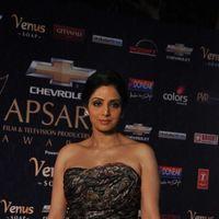 Sridevi Kapoor - Photos - Apsara Film & Tv Producers Guild Awards 2012