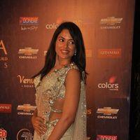 Sameera Reddy - Photos - Apsara Film & Tv Producers Guild Awards 2012