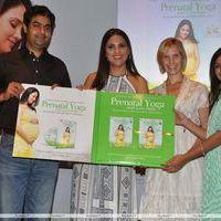Lara Dutta Launches Prenatal Yoga Dvd - Photos | Picture 199722