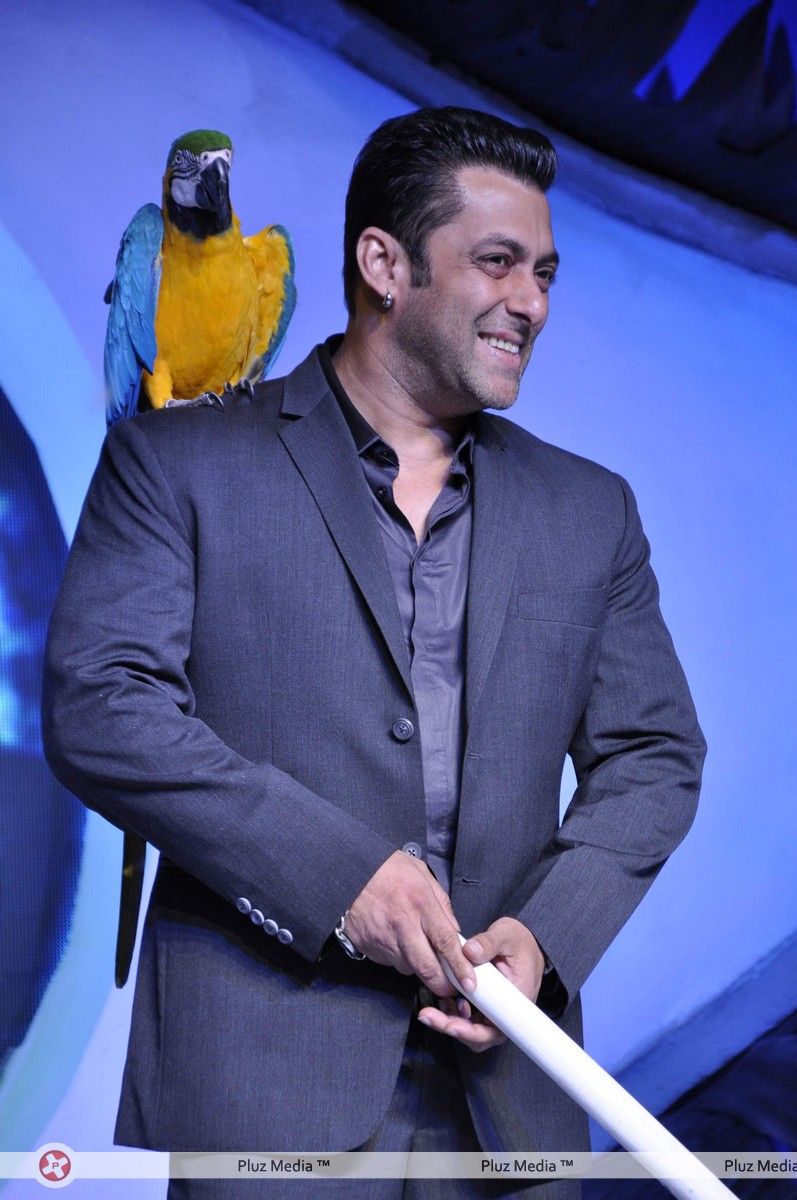 Salman Khan - Salman Khan at Big Boss 6 press meet Photos | Picture 278728