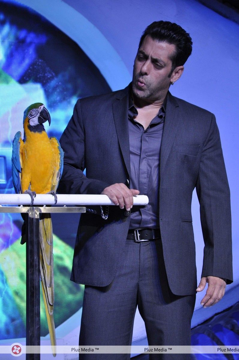 Salman Khan - Salman Khan at Big Boss 6 press meet Photos | Picture 278732