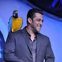 Salman Khan - Salman Khan at Big Boss 6 press meet Photos | Picture 278728