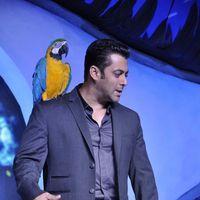 Salman Khan - Salman Khan at Big Boss 6 press meet Photos | Picture 278731